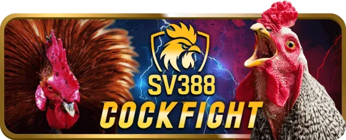 Liên hệ 69vn15 để được hỗ trợ về chính sách bảo mật